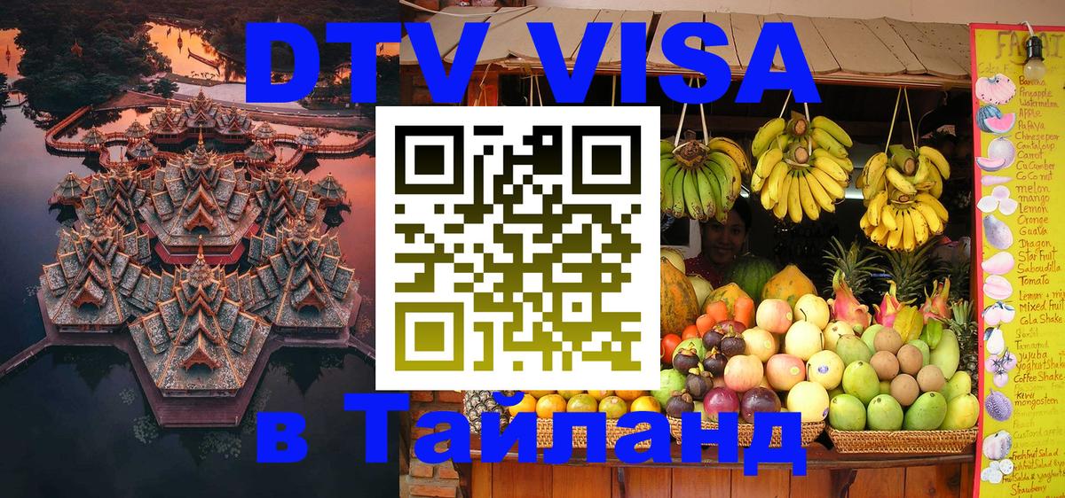 Оформление DTV визы под ключ: стоимость и тарифы, только загранпаспорт - 